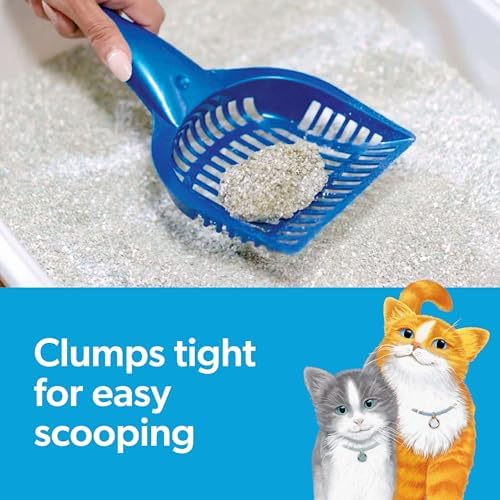 Fresh Step Clumping Cat Litter, Multi-Cat Odor Control, 14 lbs – Maximum Freshness & Long-Lasting Odor Protection