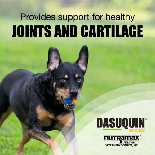 Nutramax Dasuquin with MSM for Large Dogs – 150 Soft Chews with Glucosamine, Chondroitin, and ASU for Optimal Joint Health