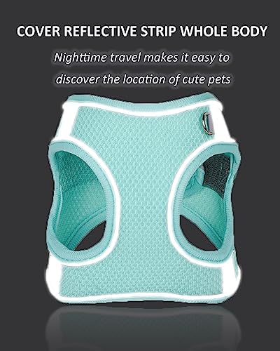 Solmoony No-Pull Dog Harness for Small and Medium Dogs, Blue XXS – Comfortable Mesh Step-In Puppy Harness and Leash Set for Easy Control